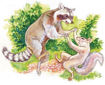 Racoon And Squirrel